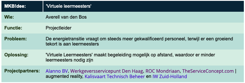 Virtuele Leermeesters MKBidee 1